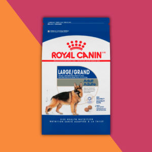 Alimento Royal Canin Large Adult