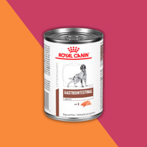 Alimento Humedo Royal Canin Gastrointestinal bajo en grasa perro adulto 385 G