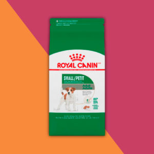 Alimento Royal Canin Small Adult