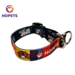 Collar para perro