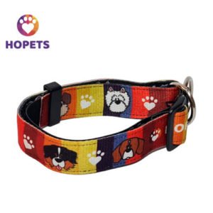 Collar para perro